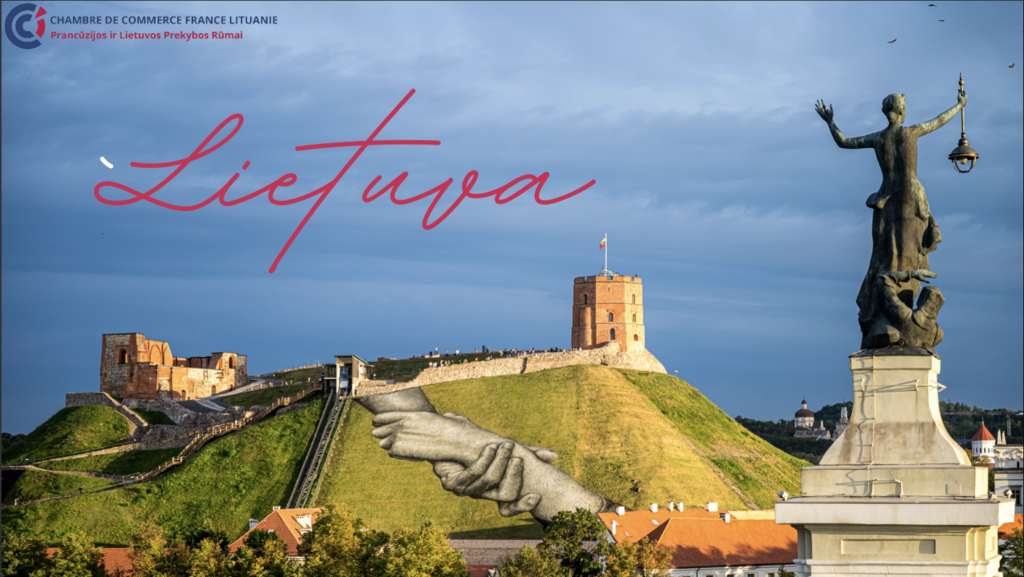 Visual for the page introducing Lithuania