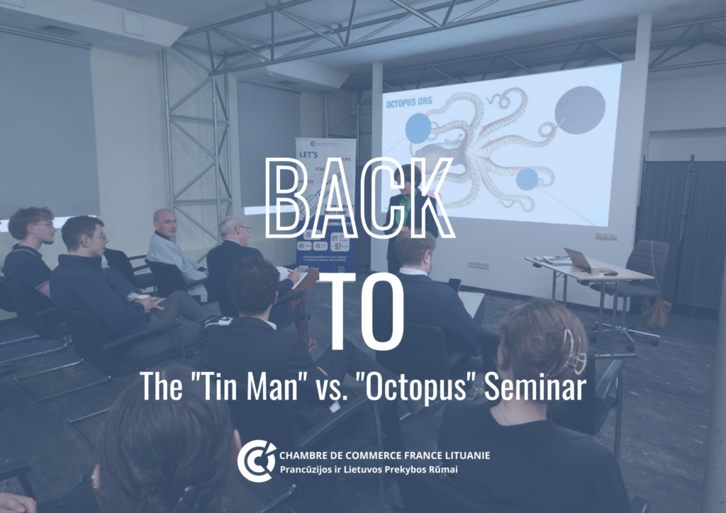 Visual for the report on the Tin Man versus Octopus seminar