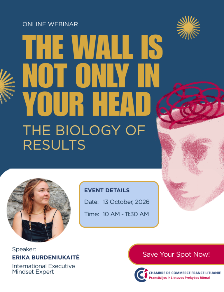 Poster for the workshop The Wall is Not Just in Your Head